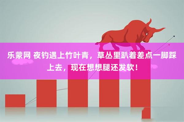 乐蒙网 夜钓遇上竹叶青，草丛里趴着差点一脚踩上去，现在想想腿还发软！
