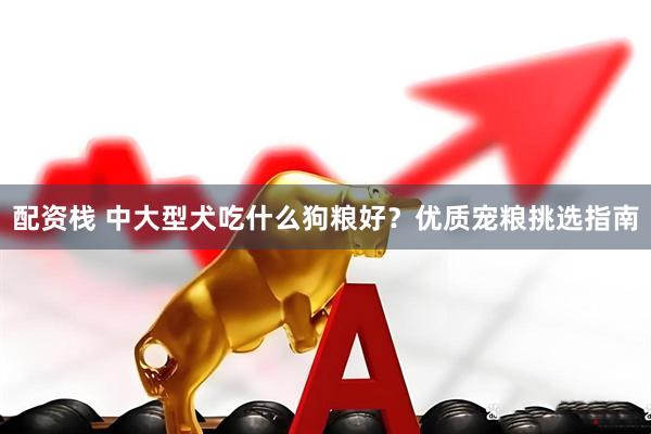 配资栈 中大型犬吃什么狗粮好？优质宠粮挑选指南