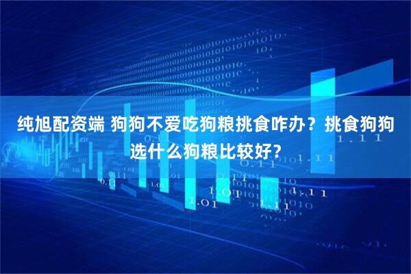纯旭配资端 狗狗不爱吃狗粮挑食咋办？挑食狗狗选什么狗粮比较好？