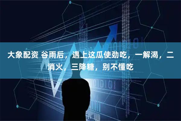 大象配资 谷雨后，遇上这瓜使劲吃，一解渴，二消火，三降糖，别不懂吃