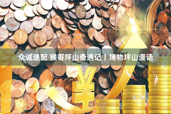 众诚速配 猴哥坪山奇遇记丨博物坪山漫话