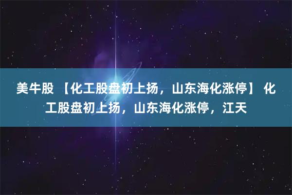 美牛股 【化工股盘初上扬，山东海化涨停】 化工股盘初上扬，山东海化涨停，江天
