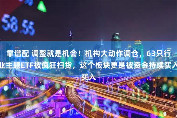 靠谱配 调整就是机会！机构大动作调仓，63只行业主题ETF被疯狂扫货，这个板块更是被资金持续买入