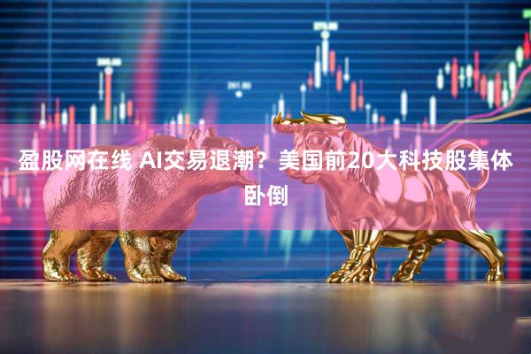 盈股网在线 AI交易退潮？美国前20大科技股集体卧倒
