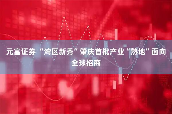元富证券 “湾区新秀”肇庆首批产业“熟地”面向全球招商